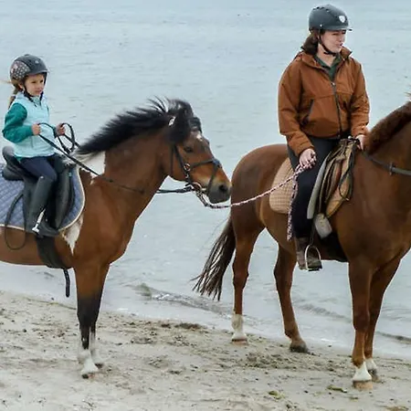 アパート Haus Moeweninsel *