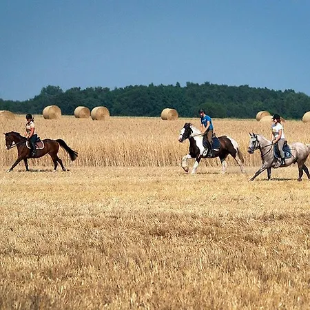 アパート Haus Moeweninsel