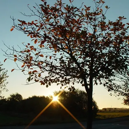 Haus Moeweninsel Neue Tiefe Fehmarn